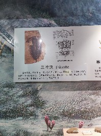 沈阳