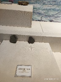 沈阳