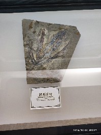 沈阳