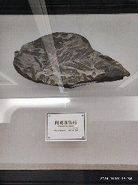 沈阳