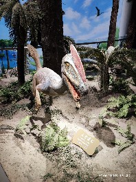 沈阳