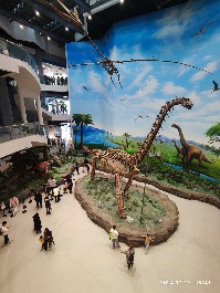 沈阳