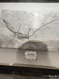 沈阳