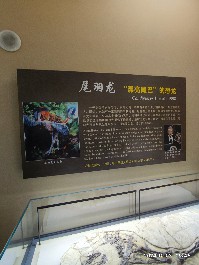 沈阳