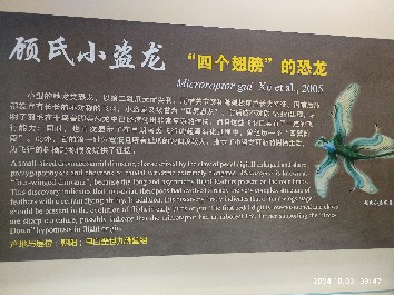 沈阳
