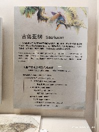 沈阳