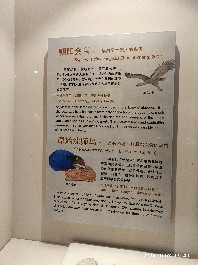 沈阳