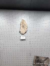 沈阳