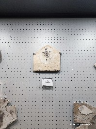 沈阳