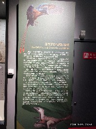 沈阳