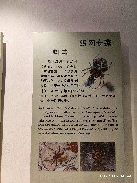 沈阳