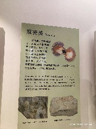 沈阳