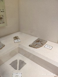 沈阳