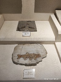 沈阳