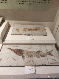 沈阳