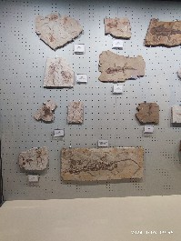 沈阳