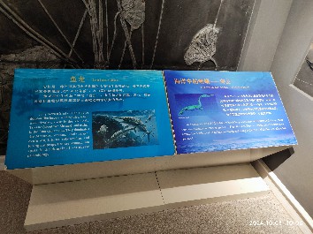 沈阳
