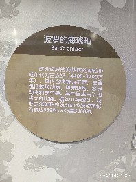 沈阳