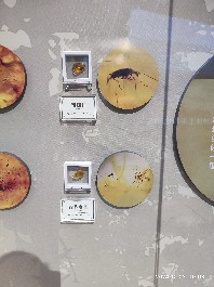 沈阳