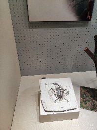 沈阳