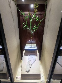 沈阳