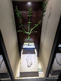 沈阳