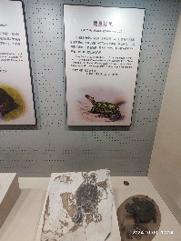 沈阳
