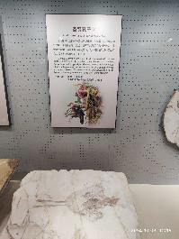 沈阳