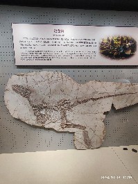 沈阳