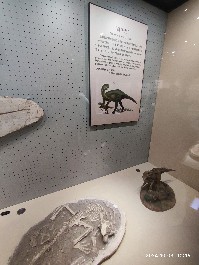 沈阳