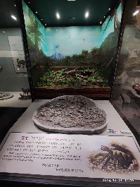 沈阳