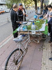 沈阳
