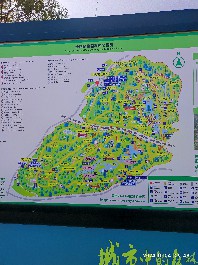 沈阳