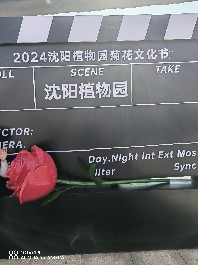 沈阳