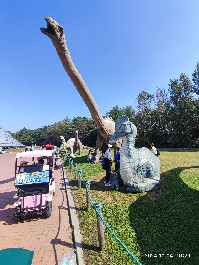 沈阳