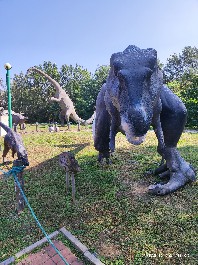 沈阳
