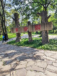 沈阳