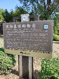 沈阳