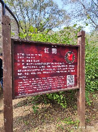 沈阳