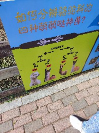 沈阳