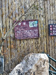 沈阳