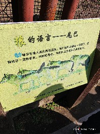 沈阳