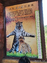 沈阳