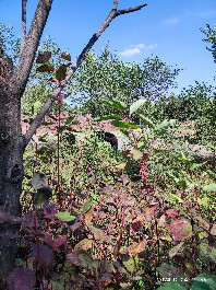沈阳