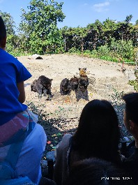 沈阳