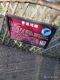 沈阳