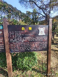 沈阳