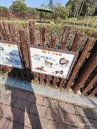 沈阳