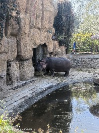 沈阳