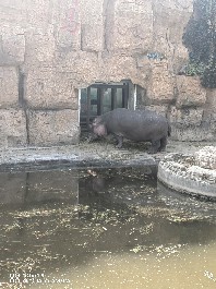 沈阳
